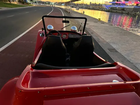 Classic Convertible Buggy